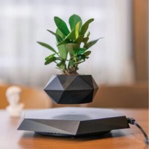 Magnetic Levitation Pot Plants