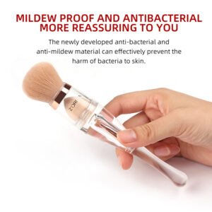 Transparent Stylish 3-in-1 Makeup Brush